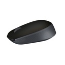 Logitech WIRELESS MOUSE M171