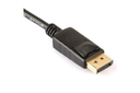 Display Port to DVI(24+5) Adapter (Cable)