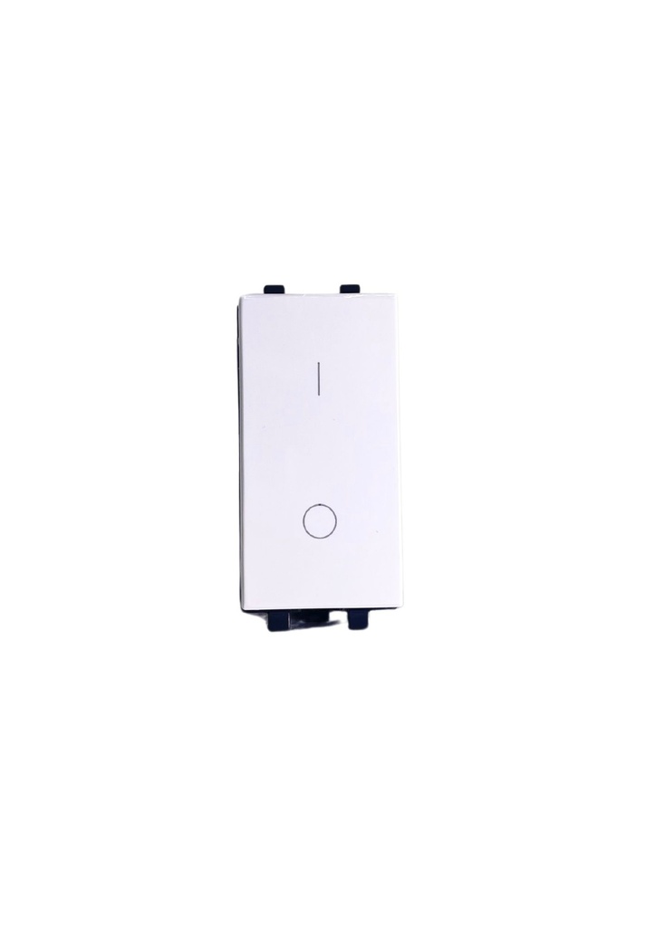 One Way Switch 2P - 1 Module - 43B010
