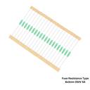 Fuse RESISTANCE TYPE 8X3mm 250V 5A ®