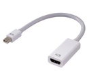 Mini Display Port to HDMI Adapter (Cable)